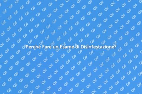 Esame Disinfestazione Casa Essenziale