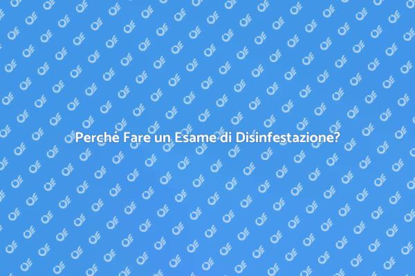 Disinfestazione Casa: Importanza dell'Esame