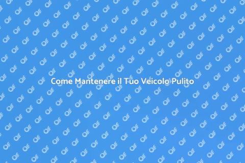 Pulizia Professionale di Veicoli