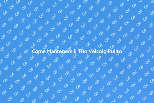 Pulizia Auto: Guida Completa