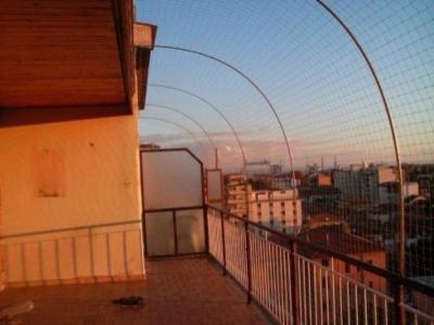 Urania Disinfestazioni - Derattizzazioni - Giardinaggio  - Foto 5