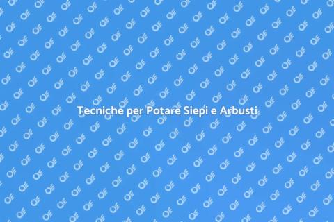 Potatura Siepi e Arbusti: Guida Pratica