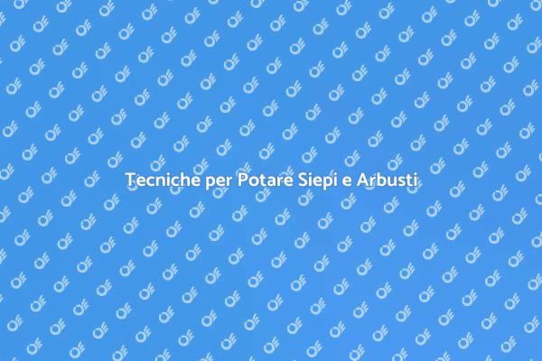 Potatura Efficace di Siepi e Arbusti