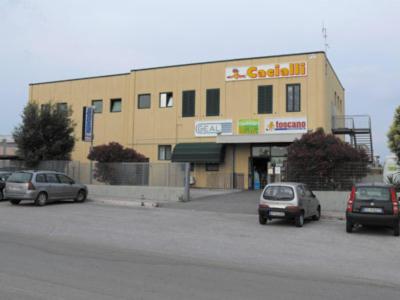 Cacialli Centro Professionale del Colore  - Foto 5