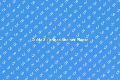 Irrigazione Efficiente per Giardini