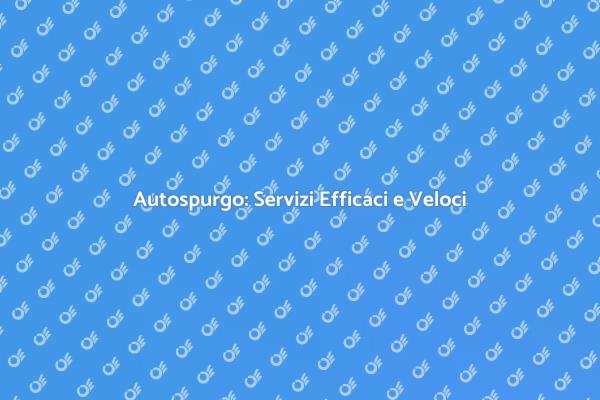 Autospurgo: Interventi Professionali