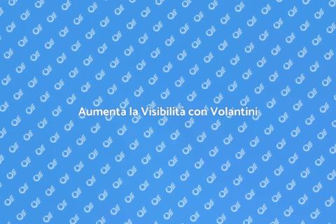 Distribuzione Volantini per il Business