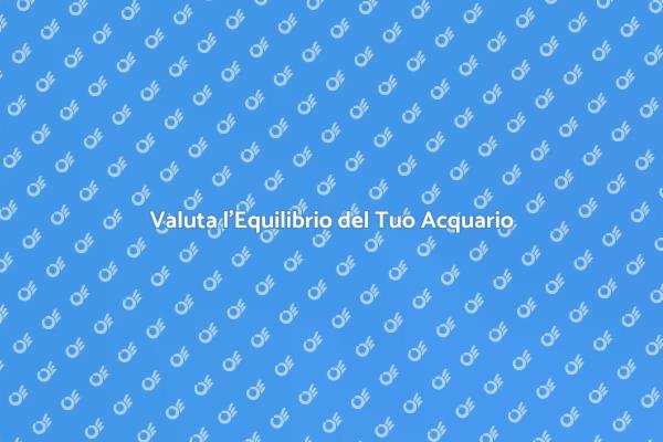 Ottimizza il Tuo Acquario con un Kit