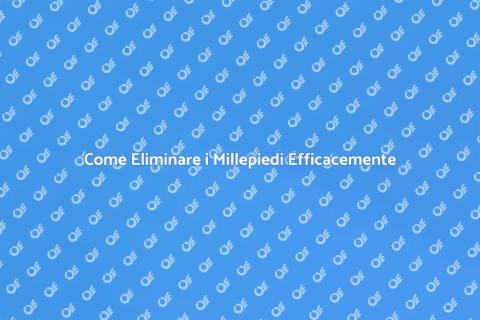 Sterminare i Millepiedi in Casa