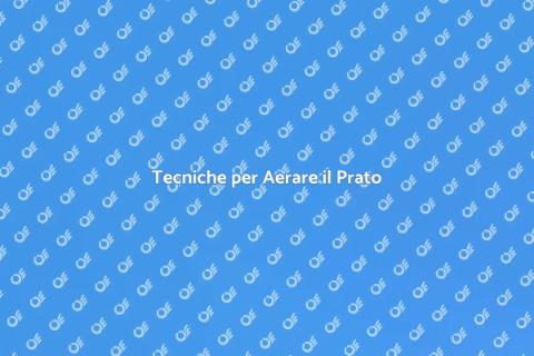 Aerare il Prato per un Giardino Sano