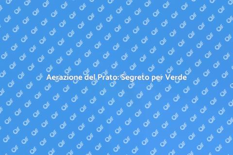 Aerare il Prato per un Giardino Sano