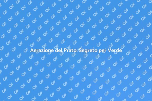 Aerazione: Chiave per un Prato Sano
