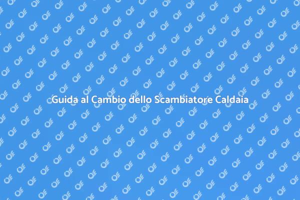 Cambio Scambiatore della Caldaia