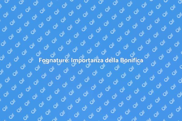 Fognature: Servizi di Bonifica Essenziali