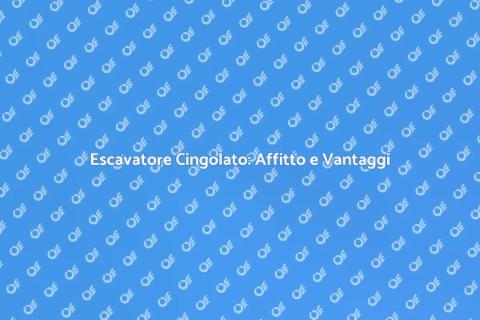 Affitto Escavatore Cingolato per Progetti