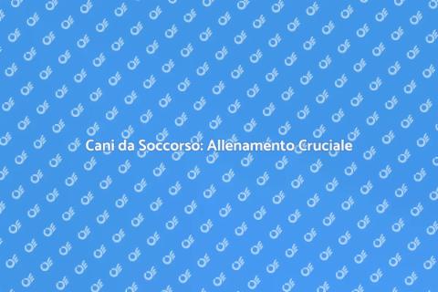 Allenamento Cani da Soccorso Ambientale
