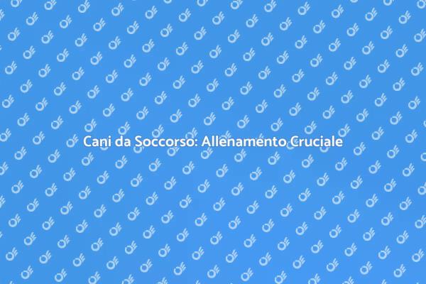 Cani da Soccorso: Fondamentali per l'Ambiente