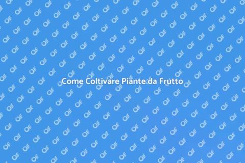 Piante da Frutto: Guida alla Coltivazione