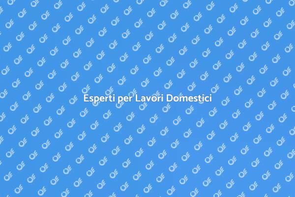 Professionisti per Riparazioni Domestiche