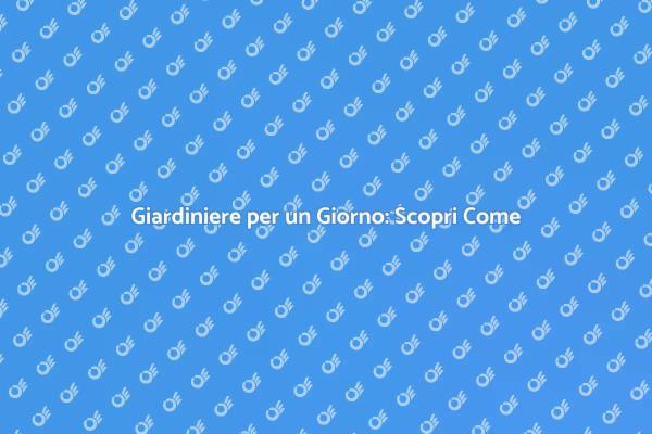 Trasforma il Tuo Giardino in Un Giorno