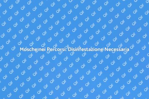 Disinfestazione Mosche: Soluzioni Efficaci