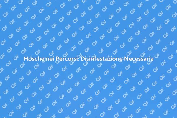 Combatti le Mosche: Disinfestazione Efficace