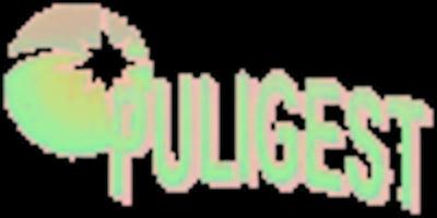 Puligest  - Foto 1