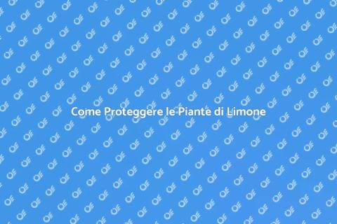 Prevenire Parassiti Piante di Limone