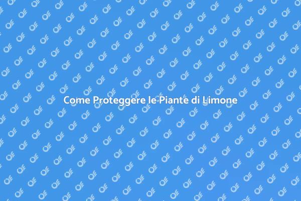 Mantieni Sane le Tue Piante di Limone
