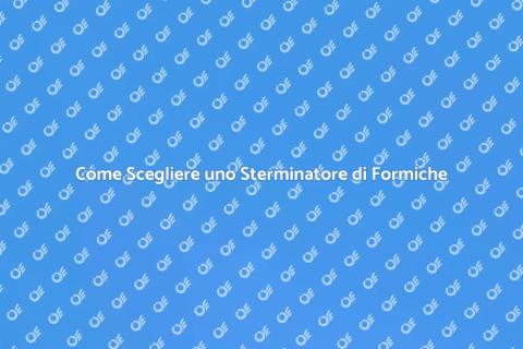 Sterminatore di Formiche: Guida Pratica