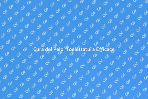 Ritocco Pelo: Guida alla Toelettatura