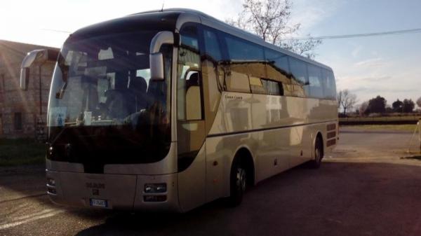 ANTARES TRAVEL BUS OPERATOR - Foto 2