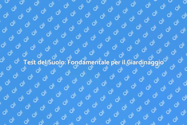 Test del Suolo: La Chiave per il Giardinaggio