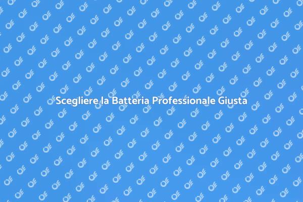 Batteria Professionale: Guida alla Scelta