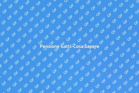 Pensione per Gatti: Guida Completa
