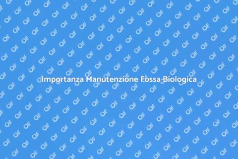 Manutenzione Fossa Biologica Essenziale