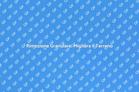 Rimozione Granulare: Trasforma i Tuoi Spazi