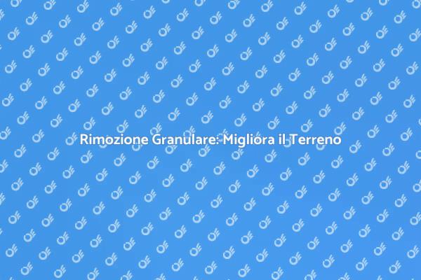 Rimozione Granulare: La Soluzione Perfetta