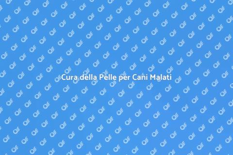 Toelettatura Cani con Problemi Cute