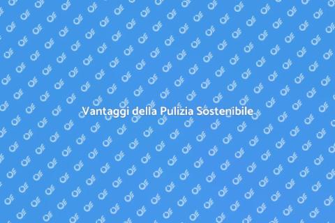 Sistema di Pulizia Ecologico