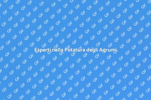 Potatura Agrumi: Consulenza Esperta