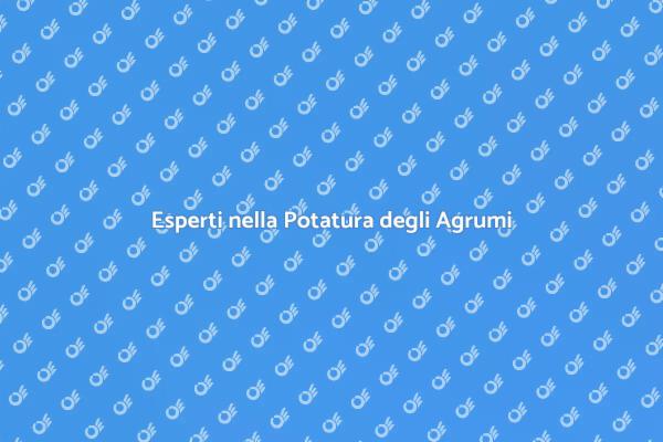Potatura Agrumi: Servizio Professionale