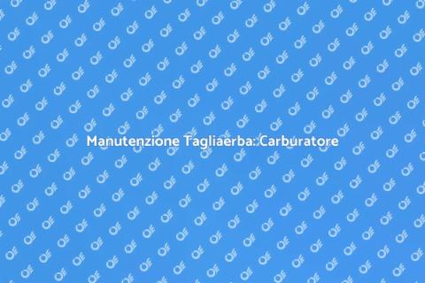 Riparazione Carburatore Tagliaerba