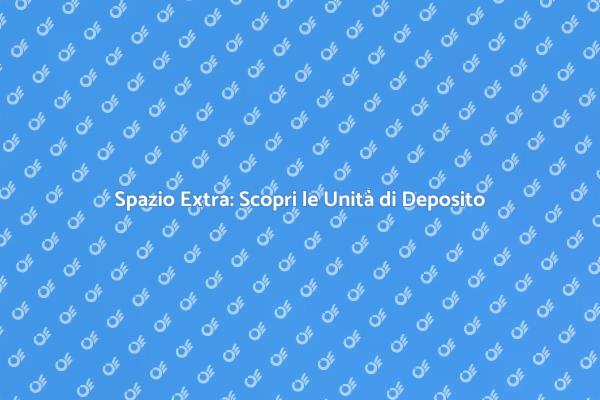Ottimizza il Tuo Spazio con Unità di Deposito