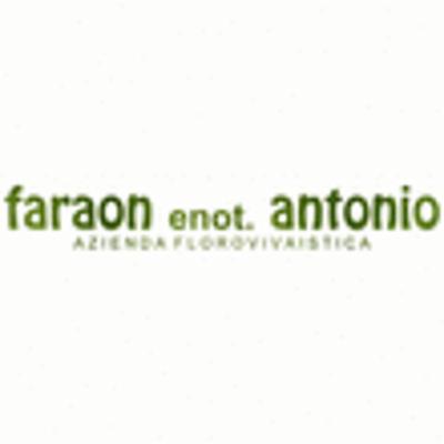 Azienda Florovivaistica Faraon Antonio  - Foto 1