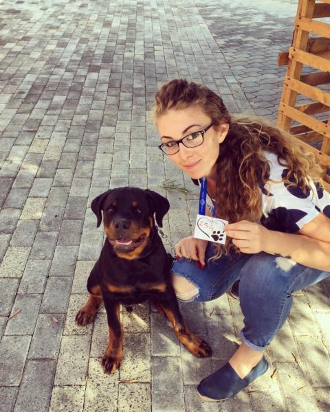 Dog sitter - Foto 22