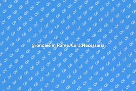Manutenzione Grondaie in Rame Essenziale