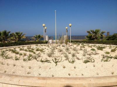 Il Giardino dei Sogni  - Foto 5