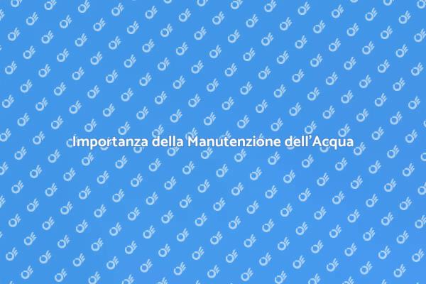 Investire nella Manutenzione dell'Acqua