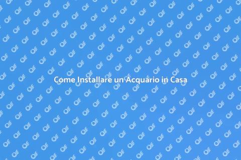Installazione di un Acquario
